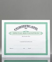 Picture of Certificate of Special Recognition